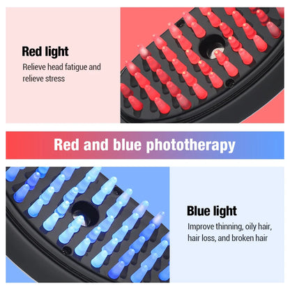 Electric Spray Massage Comb Red Light Therapy Vibration Scalp Massager Brush Hair Growth Oil Liquid Applicator Atomizing Comb